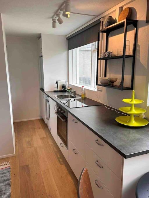 Studio Apartment Reykjavik City Center Dış mekan fotoğraf