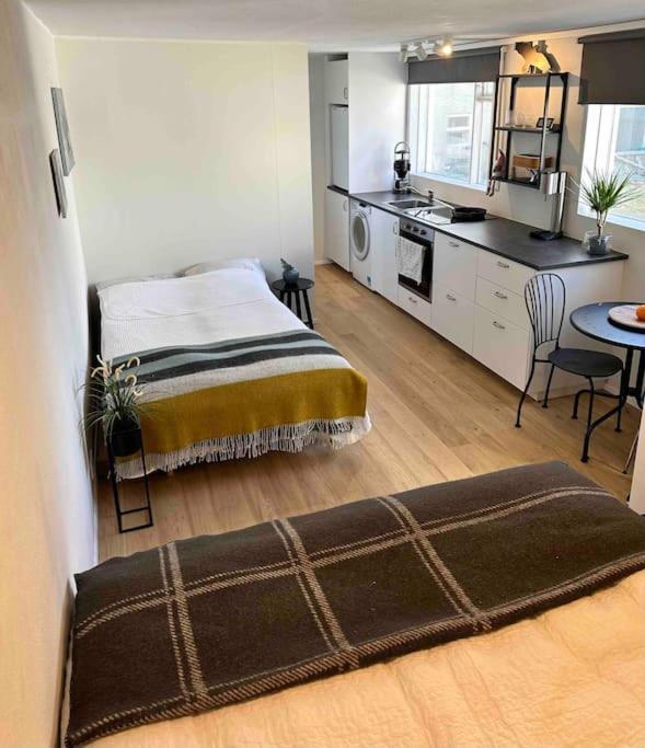 Studio Apartment Reykjavik City Center Dış mekan fotoğraf
