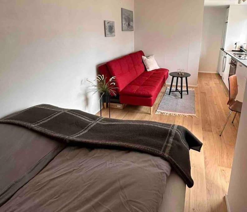 Studio Apartment Reykjavik City Center Dış mekan fotoğraf