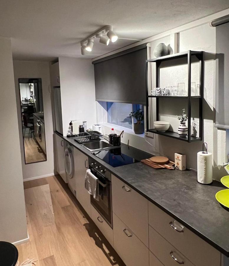 Studio Apartment Reykjavik City Center Dış mekan fotoğraf